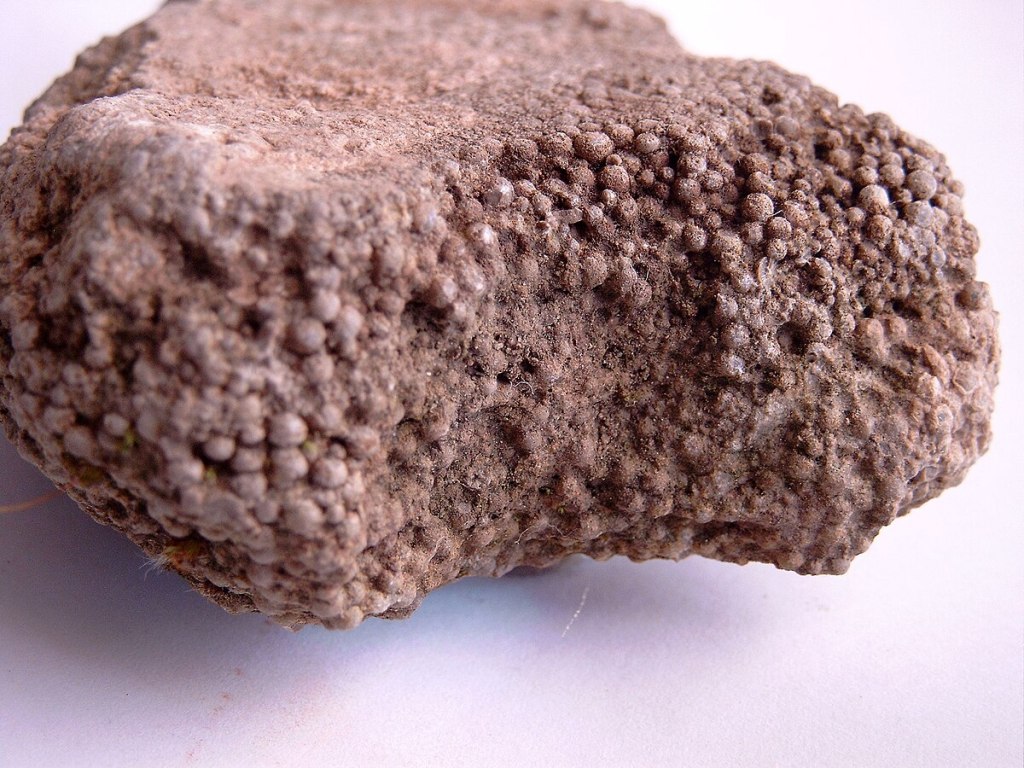 Oak and Oolite&nbsp;Explained