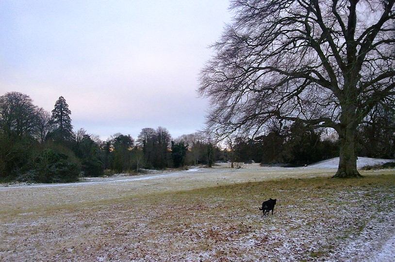 Christmas Day Walk – Celbridge, Co.&nbsp;Kildare