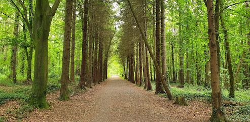 March Walk: Monasterevin, Co.&nbsp;Kildare