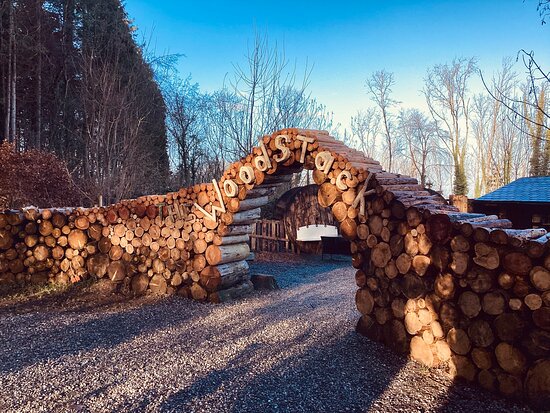 Coffee in Kildare – Café Spotlight: The Woodstack&nbsp;Café